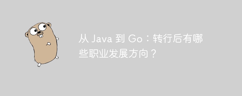 从 Java 到 Go：转行后有哪些职业发展方向？