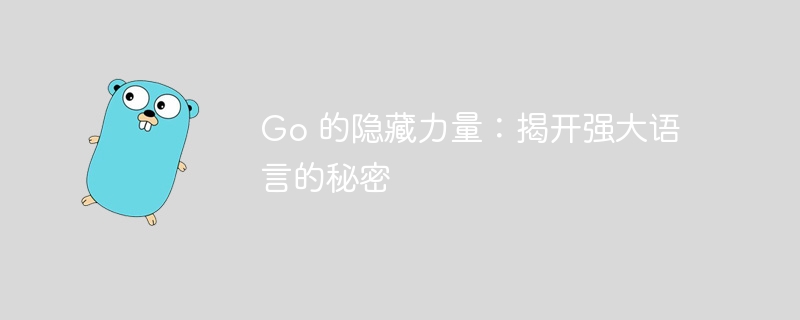 Go 的隐藏力量：揭开强大语言的秘密