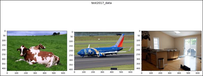 PyTorch 中的 CocoCaptions (2)