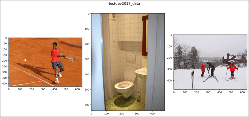 PyTorch 中的 CocoCaptions (2)