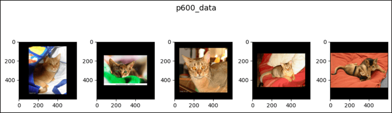 PyTorch 中的 CenterCrop