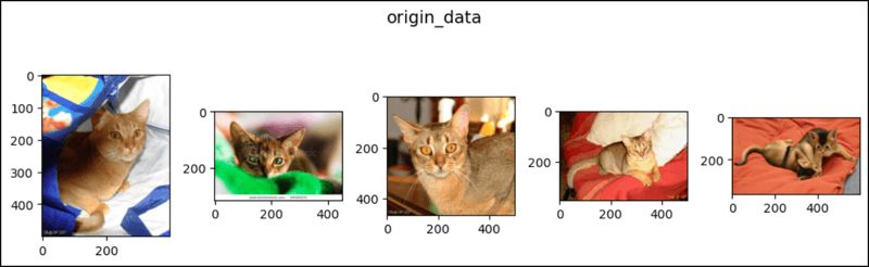 PyTorch 中的 CenterCrop