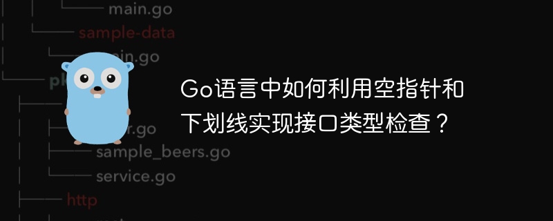 Go语言中如何利用空指针和下划线实现接口类型检查？