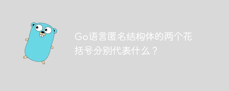 Go语言匿名结构体的两个花括号分别代表什么？