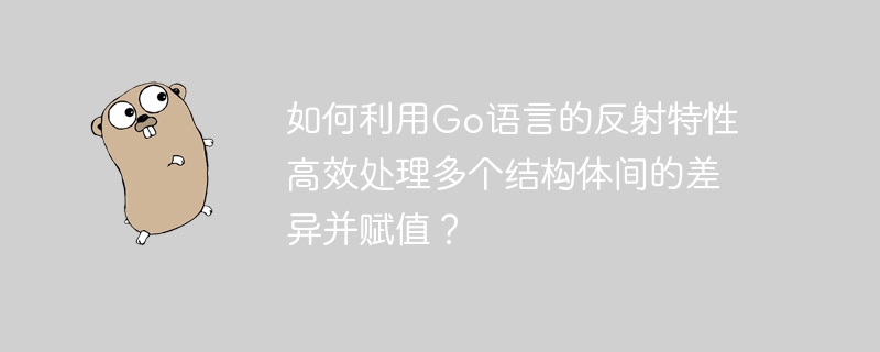 如何利用Go语言的反射特性高效处理多个结构体间的差异并赋值？