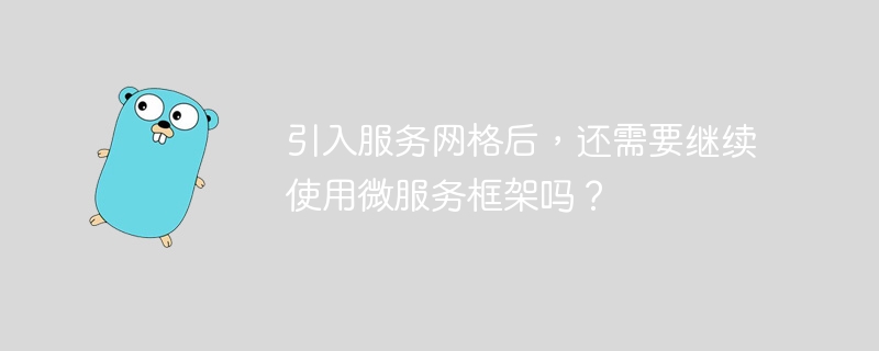 引入服务网格后，还需要继续使用微服务框架吗？